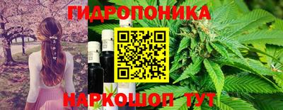 дмт Краснознаменск