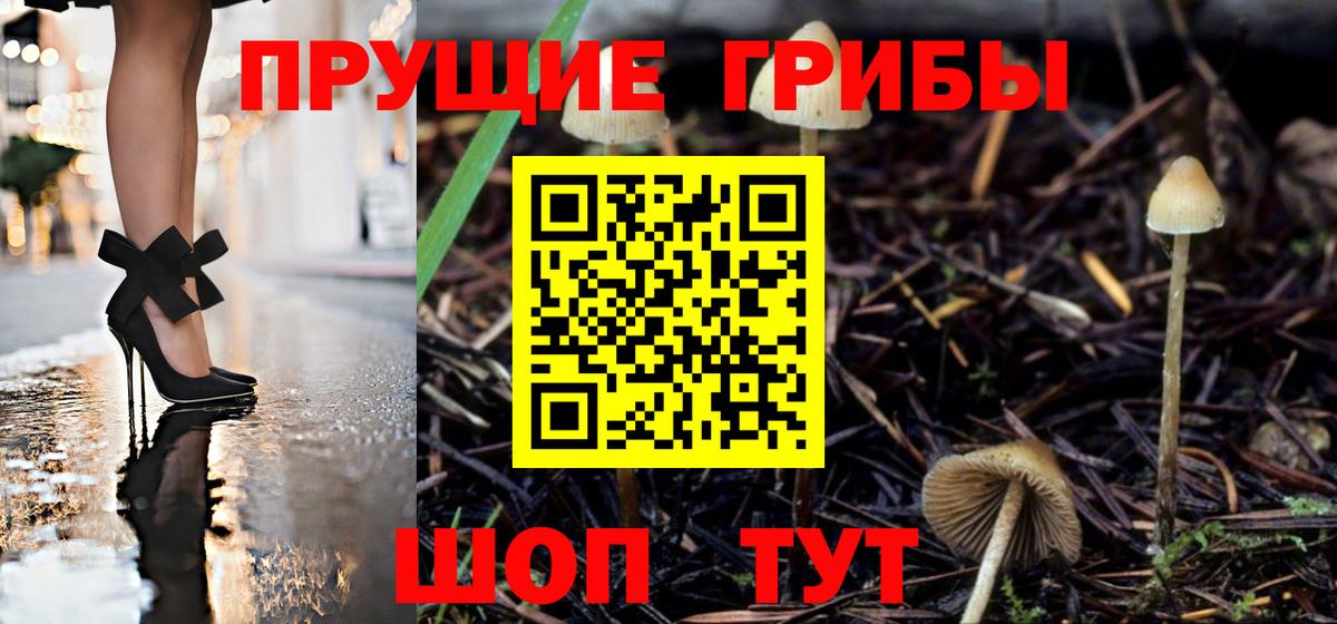 Псилоцибиновые грибы прущие грибы Ярославль